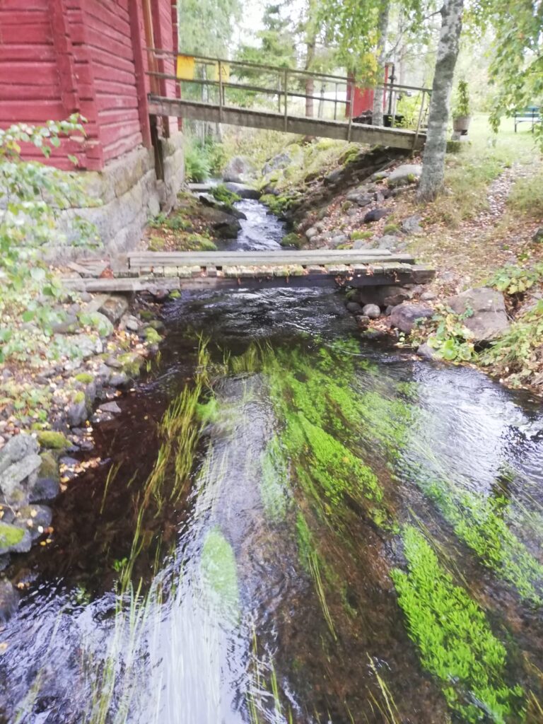 Myllyn alla kulkevassa joessa näkyy vedenpinnan alla vihreitä vesikasveja.