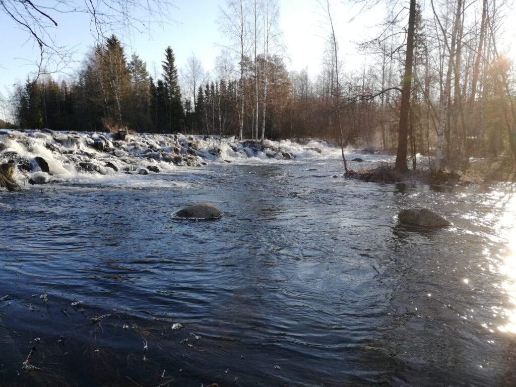 Kuohuva koski ja oikealta pilkottava auringonvalo heijastuu vedenpintaan.
